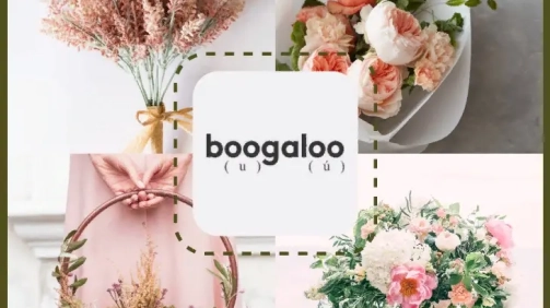 Boogaloo Natural - Floristería digital en Zaragoza